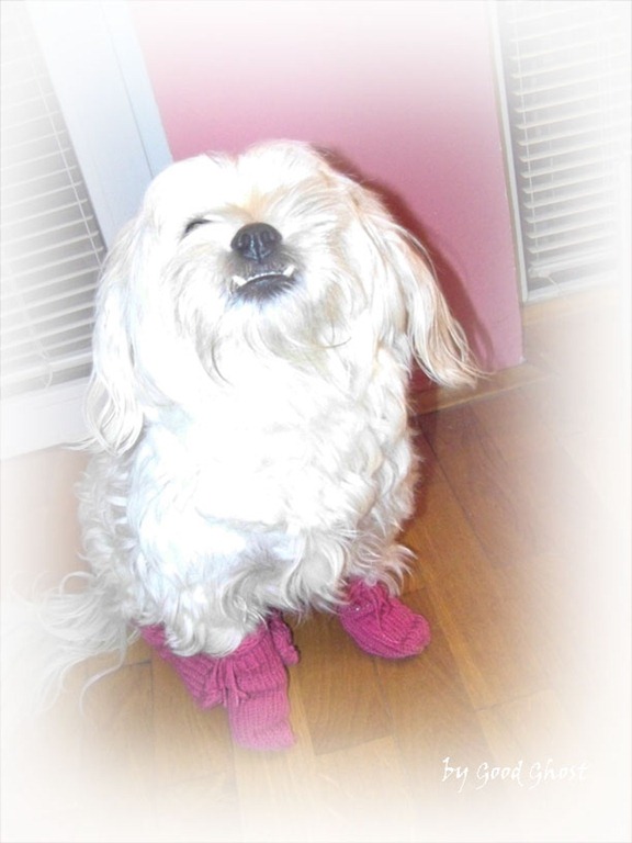 [100_1347%255B3%255D.jpg]