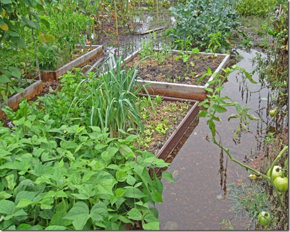 Flooded beds