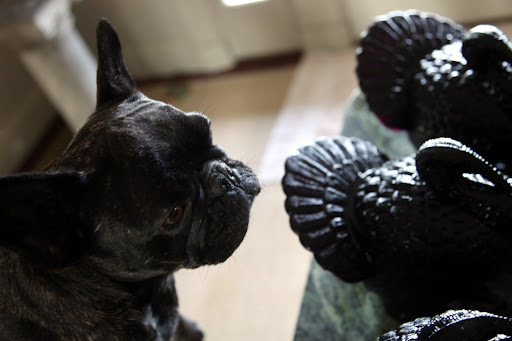 Sharkey, the black turkeys are on this table this year.  Last year they were on the mantle in the brown room.