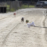 IMG_3671.JPG