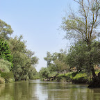 IMG_7730.JPG