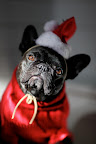 I thought I was Santa but everyone tells me that's not so!