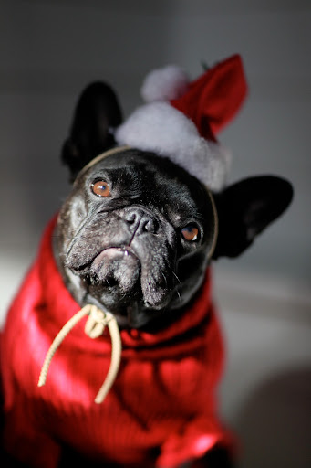 I thought I was Santa but everyone tells me that's not so!