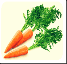 carrot for gaining weight loss
