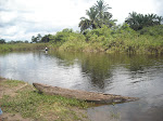 A scuttled dug-out canoe, the Marimbus, Chapada Diamantina, Brazil