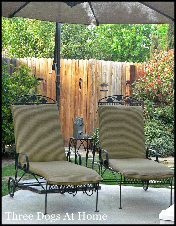 [curtain-and-patio-0904.jpg]