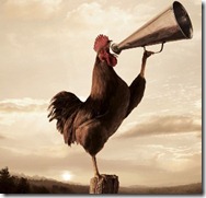 rooster-crowing-2