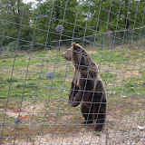 Having a bit of a look around... I'd estimate him to be about 2m tall or so.