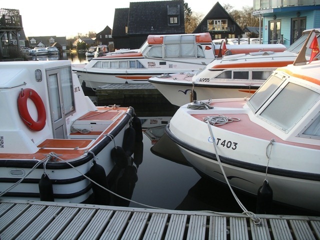 IMGP4285