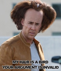 nicolas cage My hair is a bird your argument is invalid nicolas cage