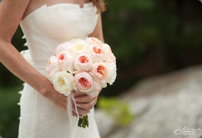 02_david-austen-roses-emily-carter