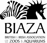 [clip_image004%255B5%255D.gif]