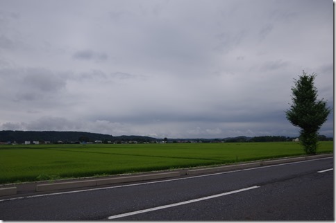 IMGP7037 IMGP7037