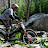 TTC AHRMA October 2010