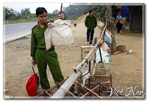 Nhịp sống trên con đèo huyền thoại, Điện Biên, Việt Nam