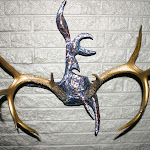 Horns - Whitetail.jpg Horns - Whitetail.jpg