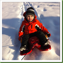 sledding