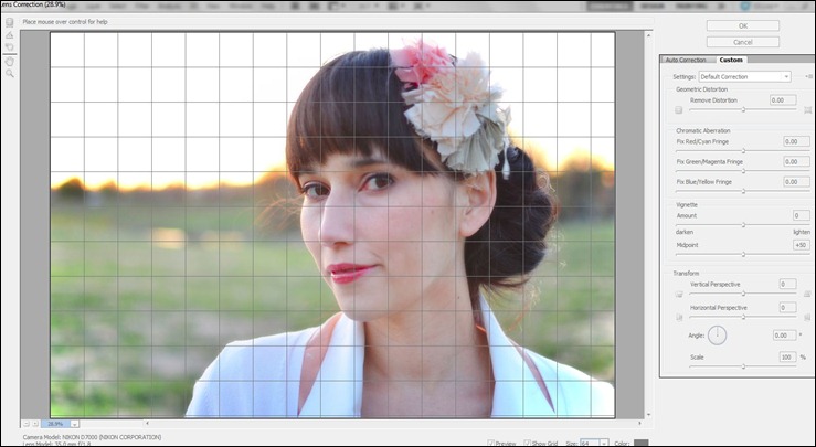 grid amy renea vignette PPP grid amy renea vignette PPP