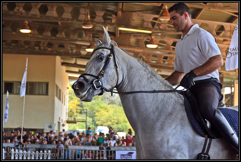 il/Фото: Stallion Show 2011 (20110416 stllion show 044 2137)