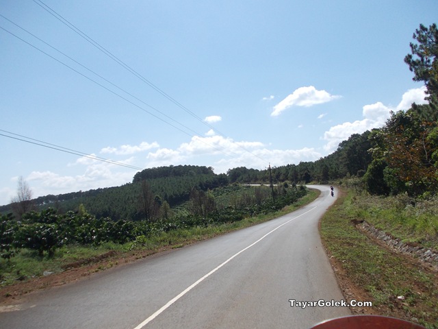 [DSCN19862.jpg]