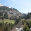 Adlerblick