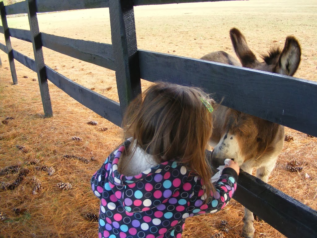 [DSCF9035%255B4%255D.jpg]