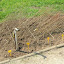 DSCN5580.JPG