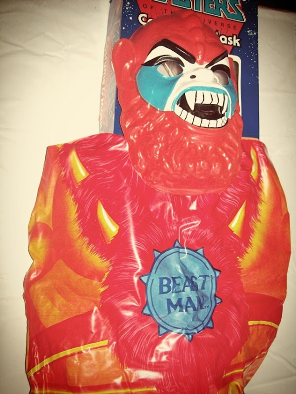 Masters Of The Universe Costume