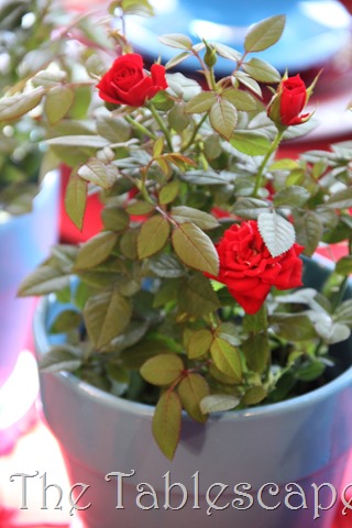 [memorial-Day-table-0373.jpg]