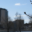 Joensuu 2010 139.JPG
