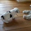 DSCN0163.JPG