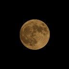 DSC_3022.jpg