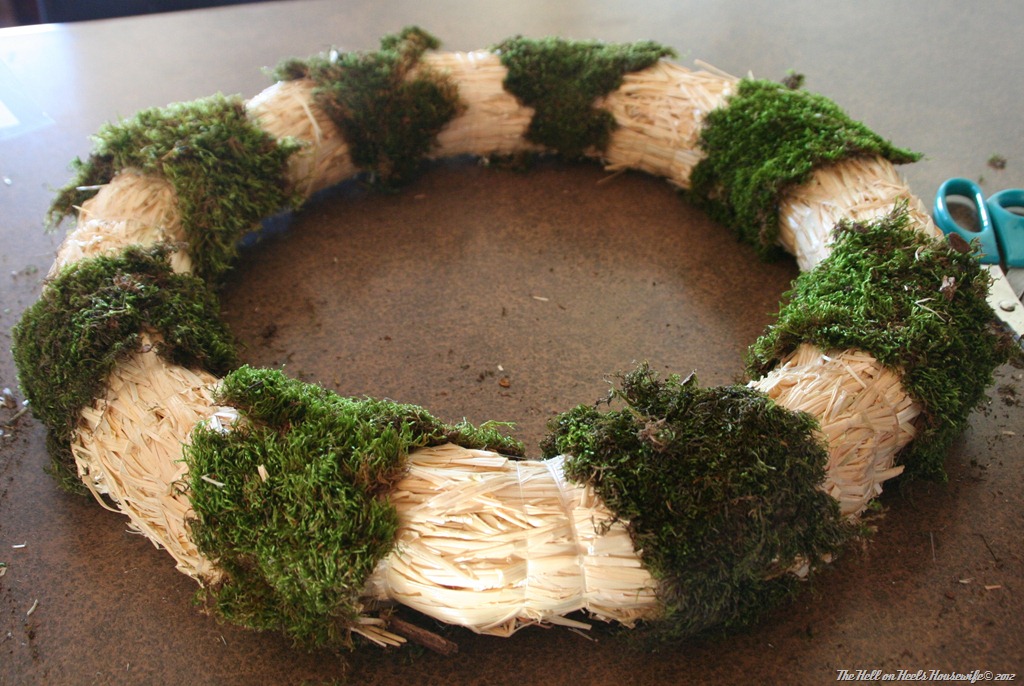 [wreath-and-zoo-1813.jpg]