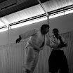 _DSC0866.JPG