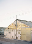 This greenhouse provided a great setting for the photo shoot.