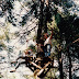 Adventure Centre History - 096.jpg