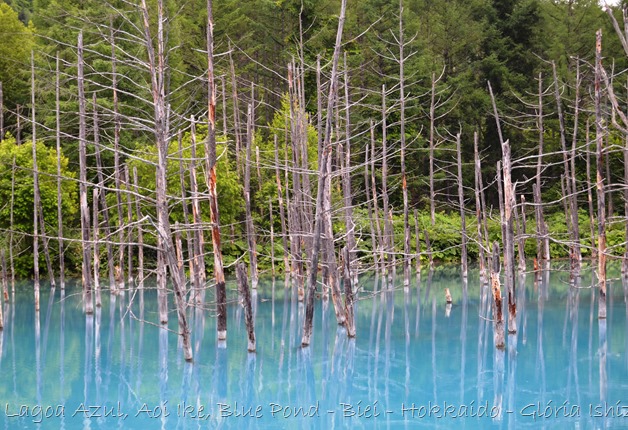 Lagoa Azul - Biei - Hokkaido - Glória Ishizaka - 31