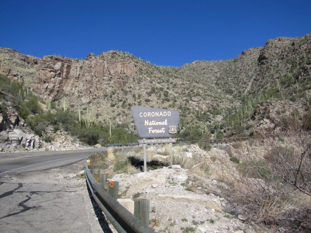 [Tucson%2520Drive%2520%2526%2520Mt.%2520Lemmon%2520008%255B4%255D.jpg]