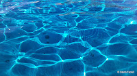 2011-12-01_11-37-59_487.jpg