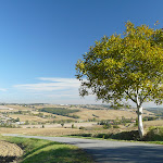 Route d'Aureville