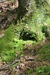 DSC_0015.JPG