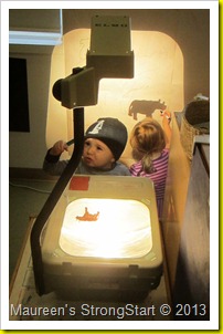 IMG_3290 IMG_3290