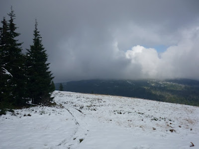 pan1