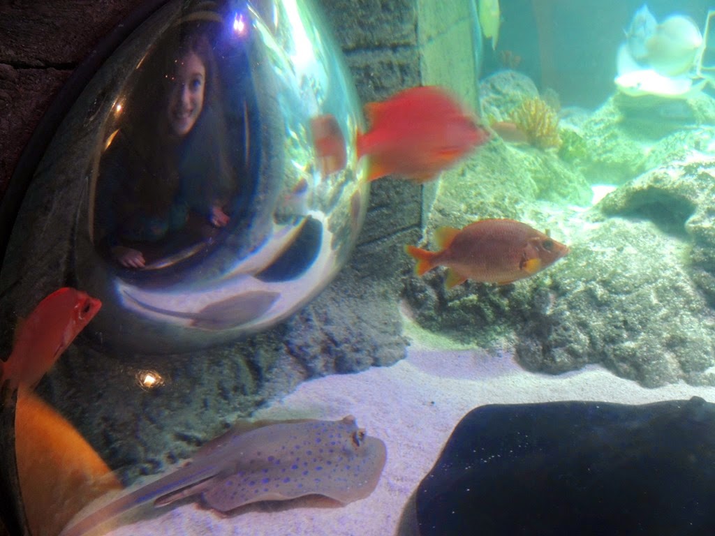 [DSCN1377%255B3%255D.jpg]