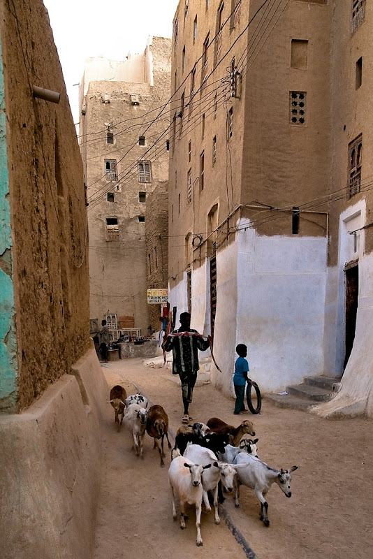 shibam-4