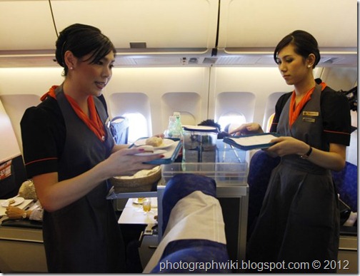 photograph wiki ladyboy flight attendants air hostess 4