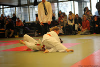 IMG_1156.jpg