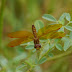 P1110577