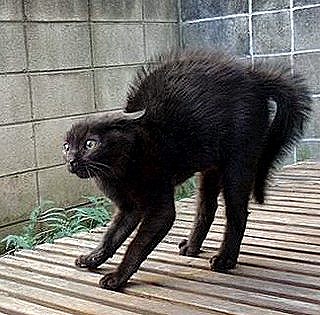 [clip_image005%5B6%5D.jpg]