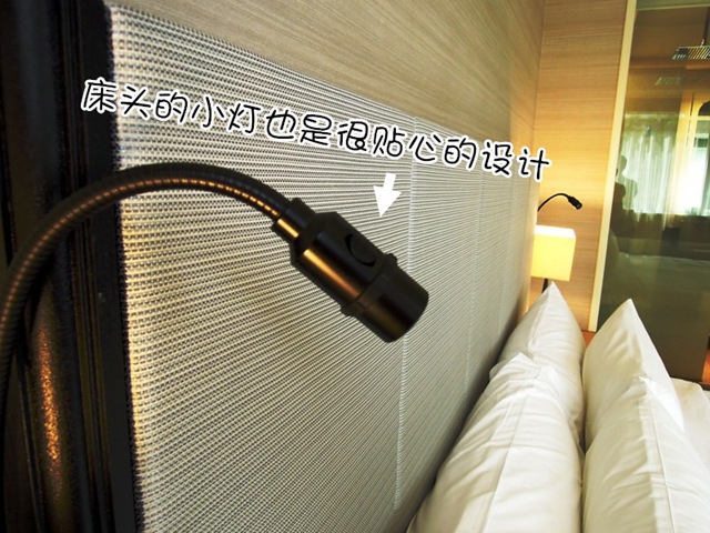 DSCN0977 DSCN0977